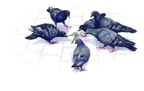 Schlüsselerlebnis: Bald wohnen die Vögel im Taubenschag. Illustration: Stefan Bachmann