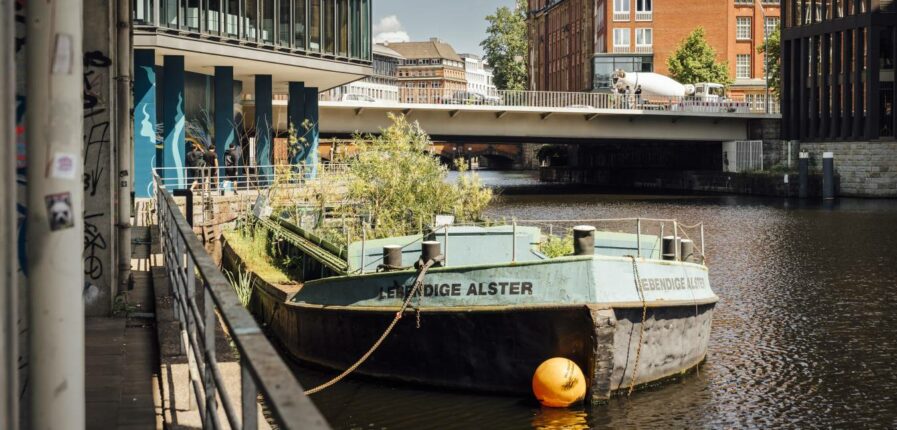 Im Innern der grünen Schute, die auf Höhe Admiralitätsstraße 10 ankert, wachsen sogar Wasserpflanzen, da die Unterseite geöffnet ist. Foto: Miguel Ferraz