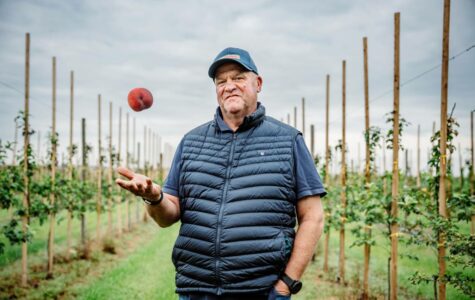 Setzt zunehmend auf den Anbau von Pfirsichen: Obstbauer Claus Schliecker. Foto: Dmitrij Leltschuk