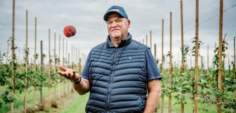 Setzt zunehmend auf den Anbau von Pfirsichen: Obstbauer Claus Schliecker. Foto: Dmitrij Leltschuk