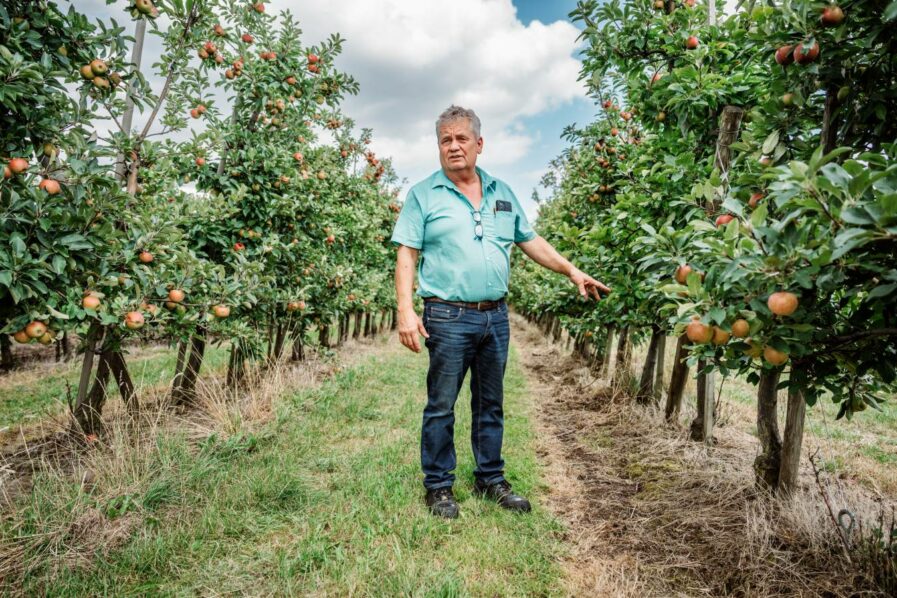 Verdient zu wenig Geld, um seine Plantagen wirksam zu schützen: Biobauer Claus Blohm. Foto: Dmitrij Leltschuk